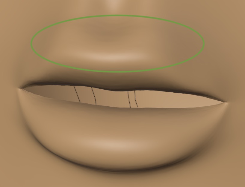 duplicate vertices